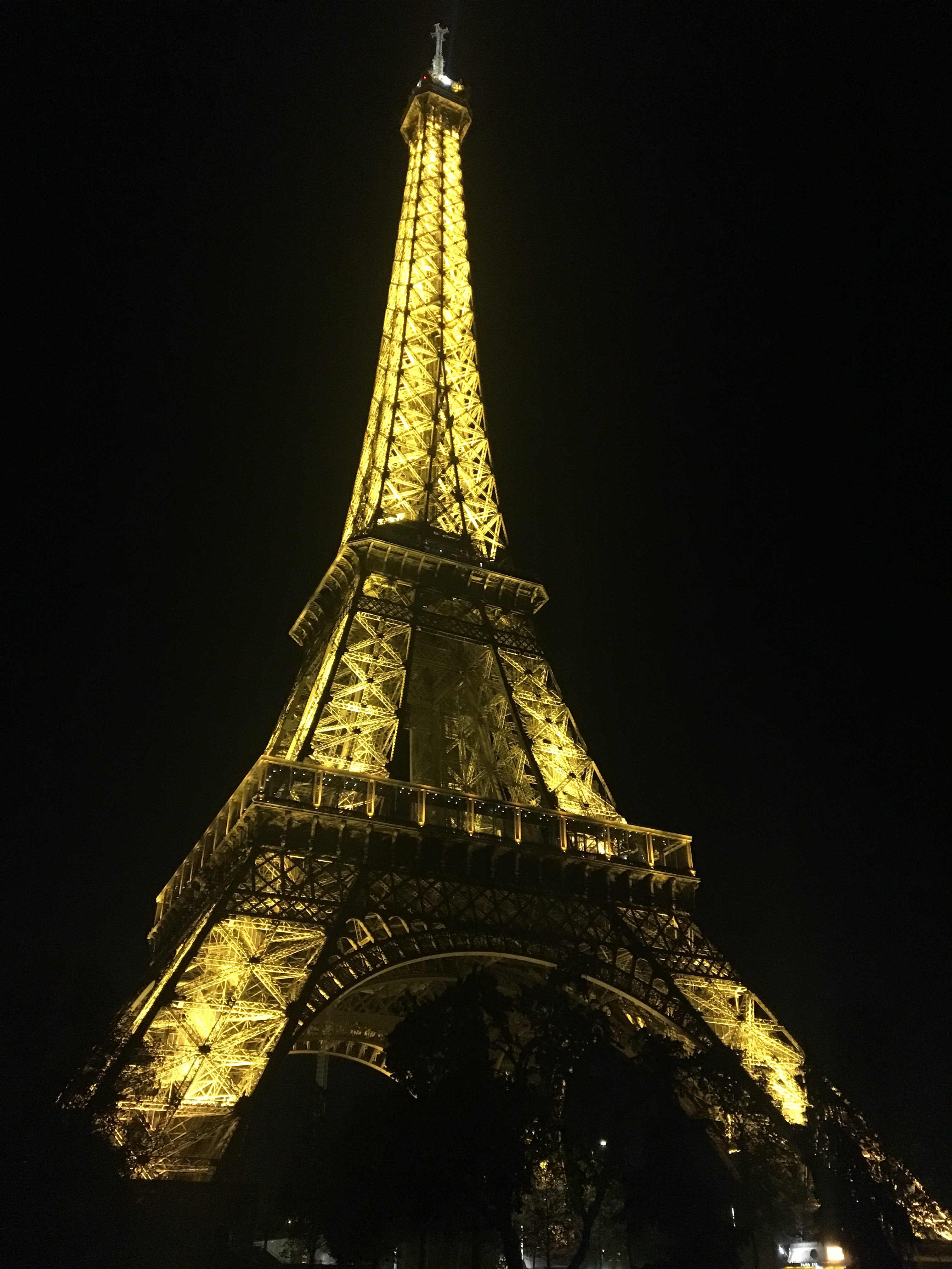 The Eiffel Tower at night